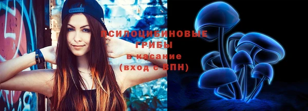 дурь Богданович