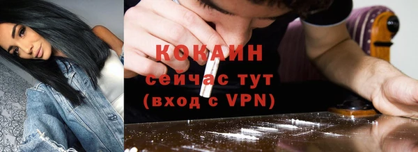 дурь Богданович