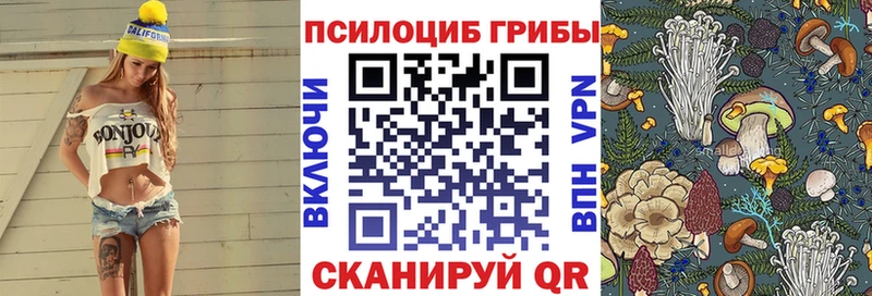 Купить где  Качканар  Псилоцибиновые грибы Psilocybine cubensis 